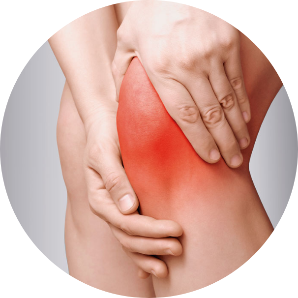 Amedial Plus - dor articular