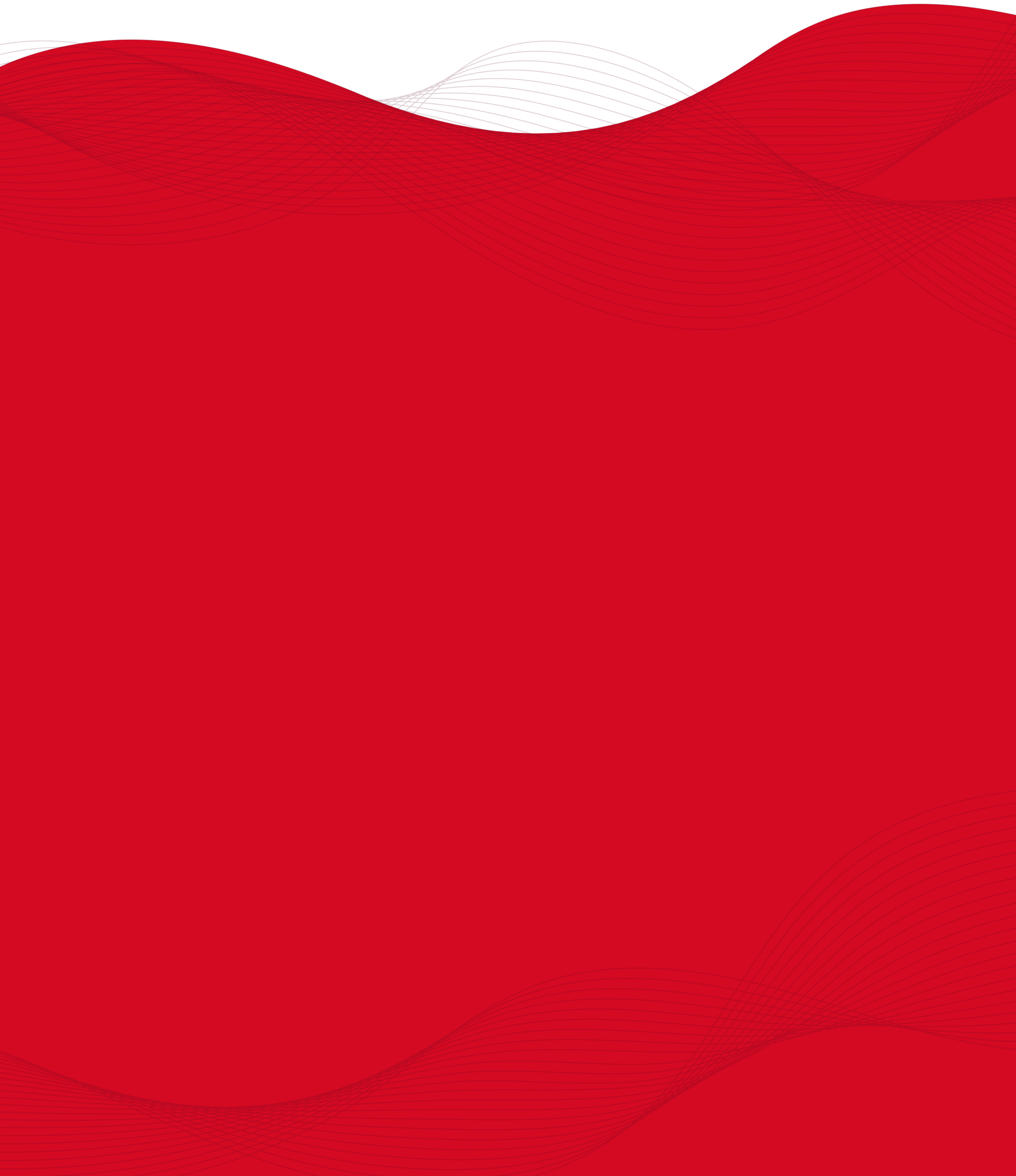 Ossos e Articulações