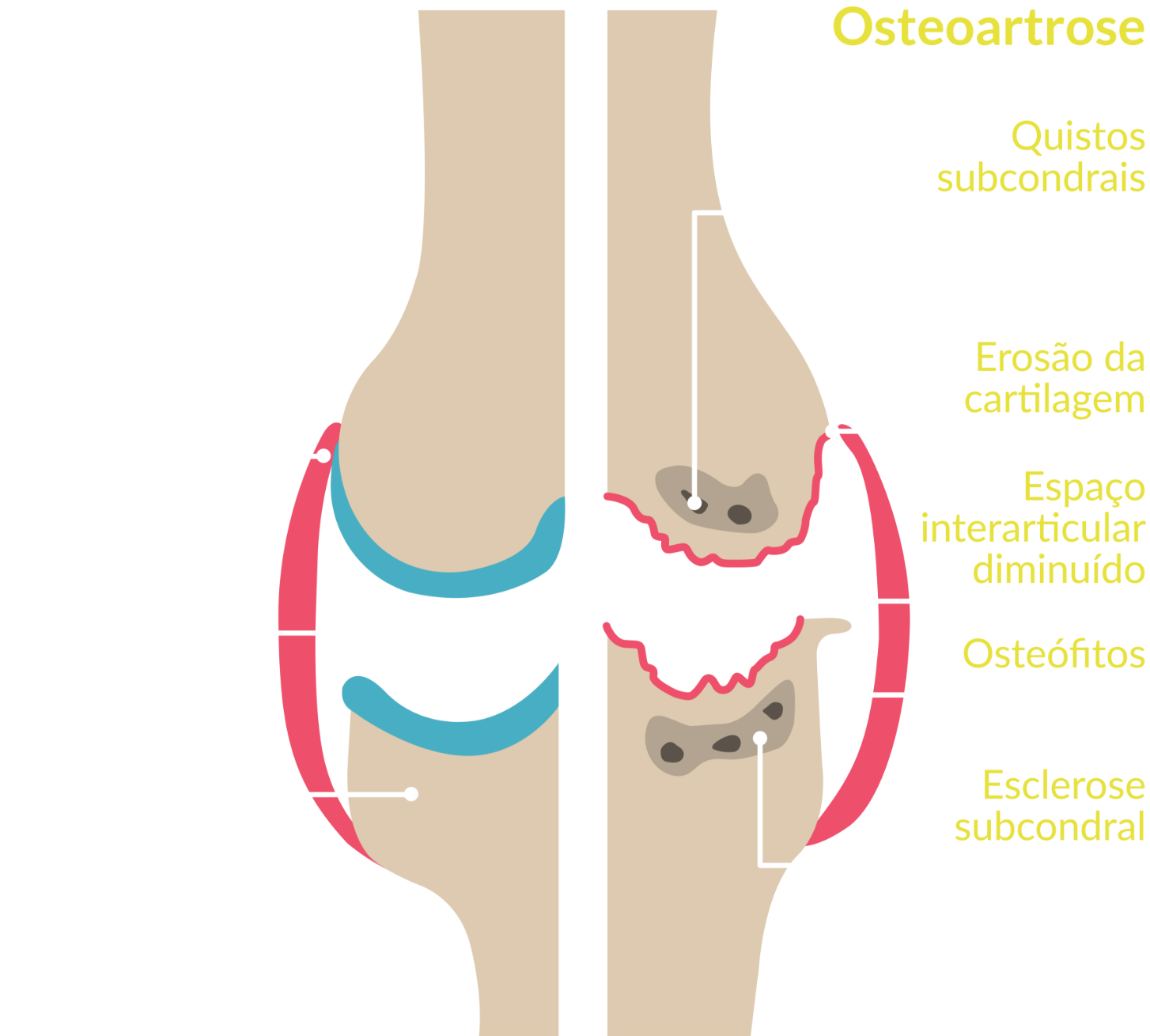Amedial Plus - Tripla Ação