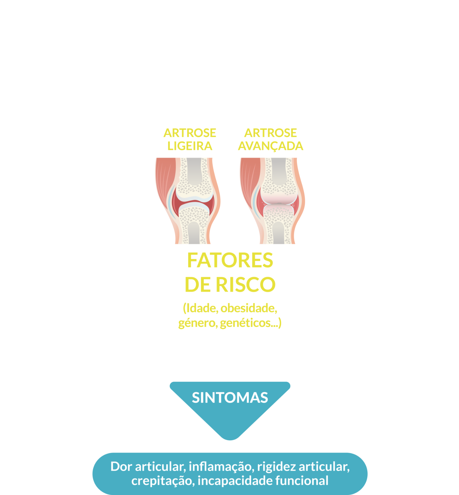 Amedial Plus - Tripla Ação