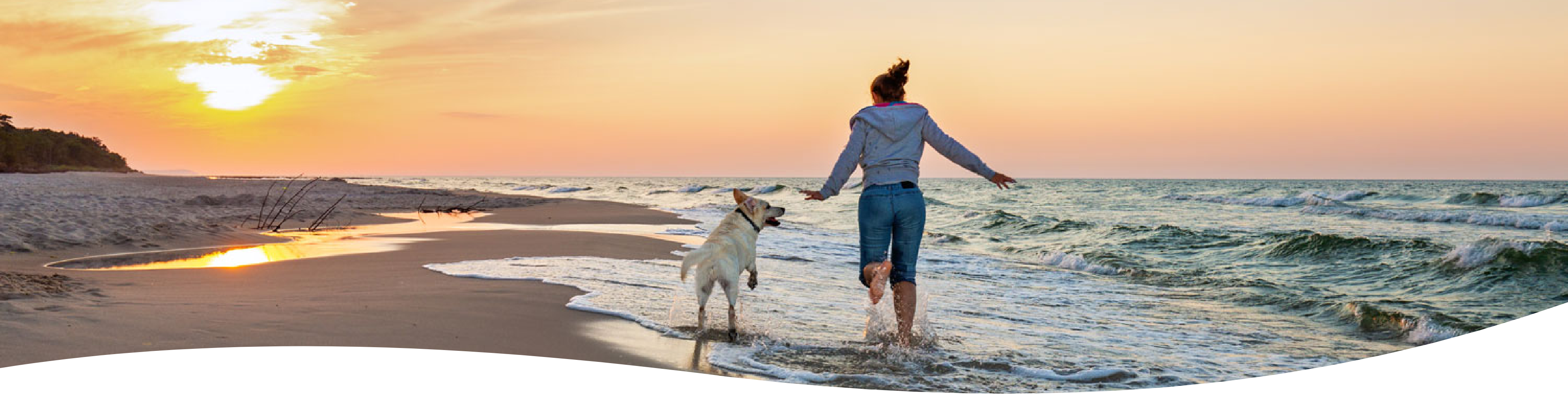 Amedial Plus - Contactos